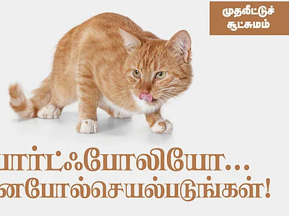 போர்ட்ஃபோலியோ... பூனைபோல் செயல்படுங்கள்!