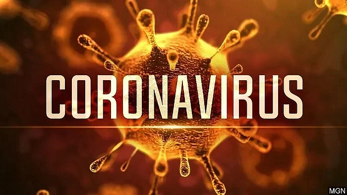 corona virus