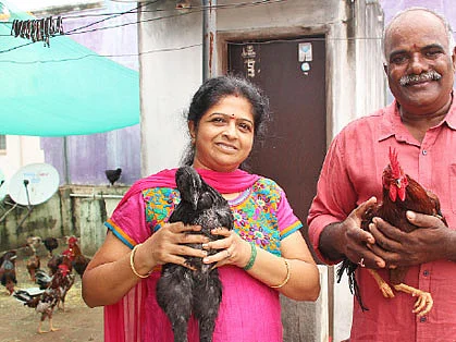 மொட்டைமாடி கோழி வளர்ப்பு... மாதம் ரூ. 20,000 லாபம்!