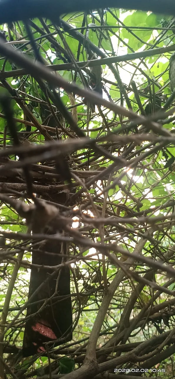 கொலை நடந்த இடத்தில் இன்ஸ்பெக்டர் குணசேகரன் விசாரணை