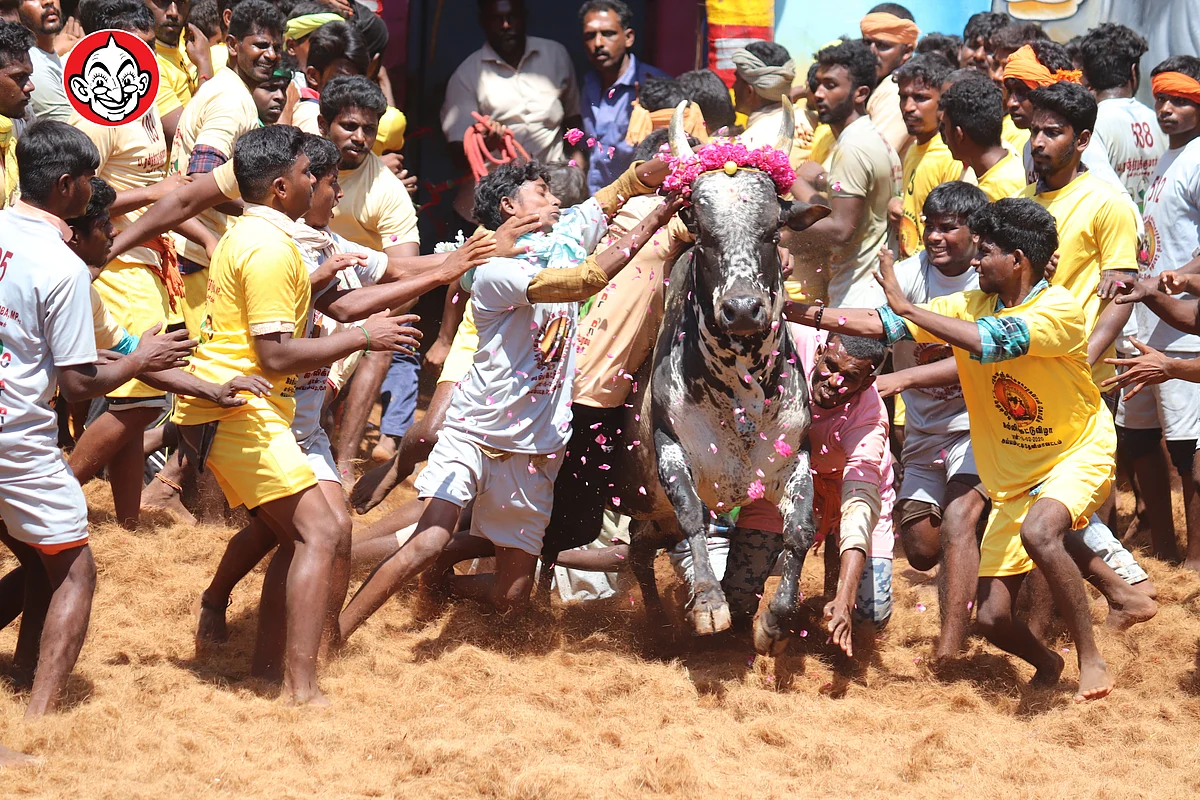 அய்யம்பட்டி ஜல்லிக்கட்டு