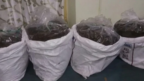 கஞ்சா