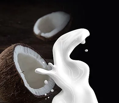 தேங்காய்ப்பால்