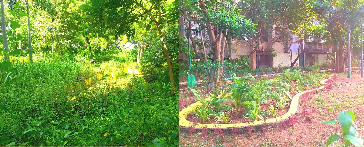 முன் - பின்