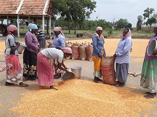 ``அதிக விளைச்சல்... விலை இல்லை”- மானாவாரி உற்பத்திக்கு குறைந்தபட்ச விலை நிர்ணயம் செய்யுமா அரசு?