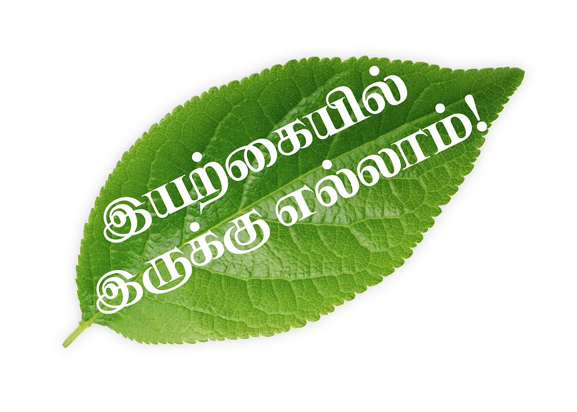 இயற்கையில் இருக்கு எல்லாம்!