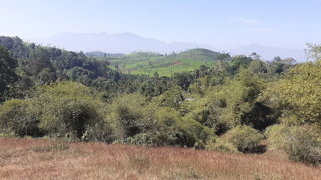 near erumad