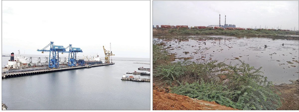 எண்ணூர் காமராஜர் துறைமுகம் - சாம்பல் குட்டை எனச் சொல்லப்பட்ட சதுப்புநிலப் பகுதி