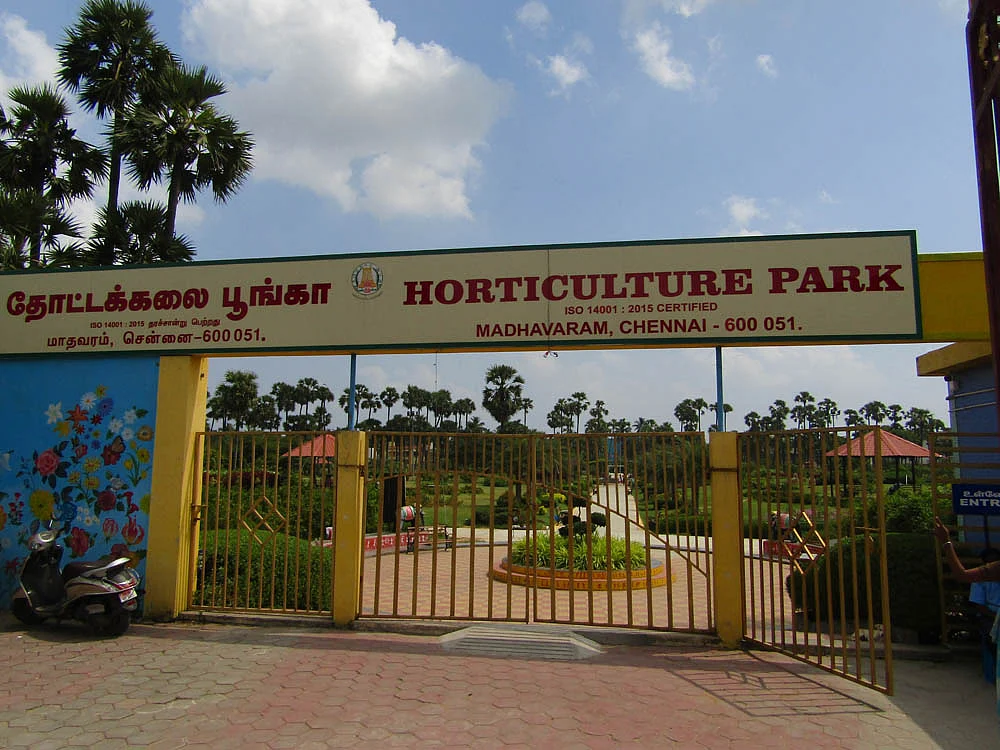 மாதவரம் தாவரவியல் பூங்கா