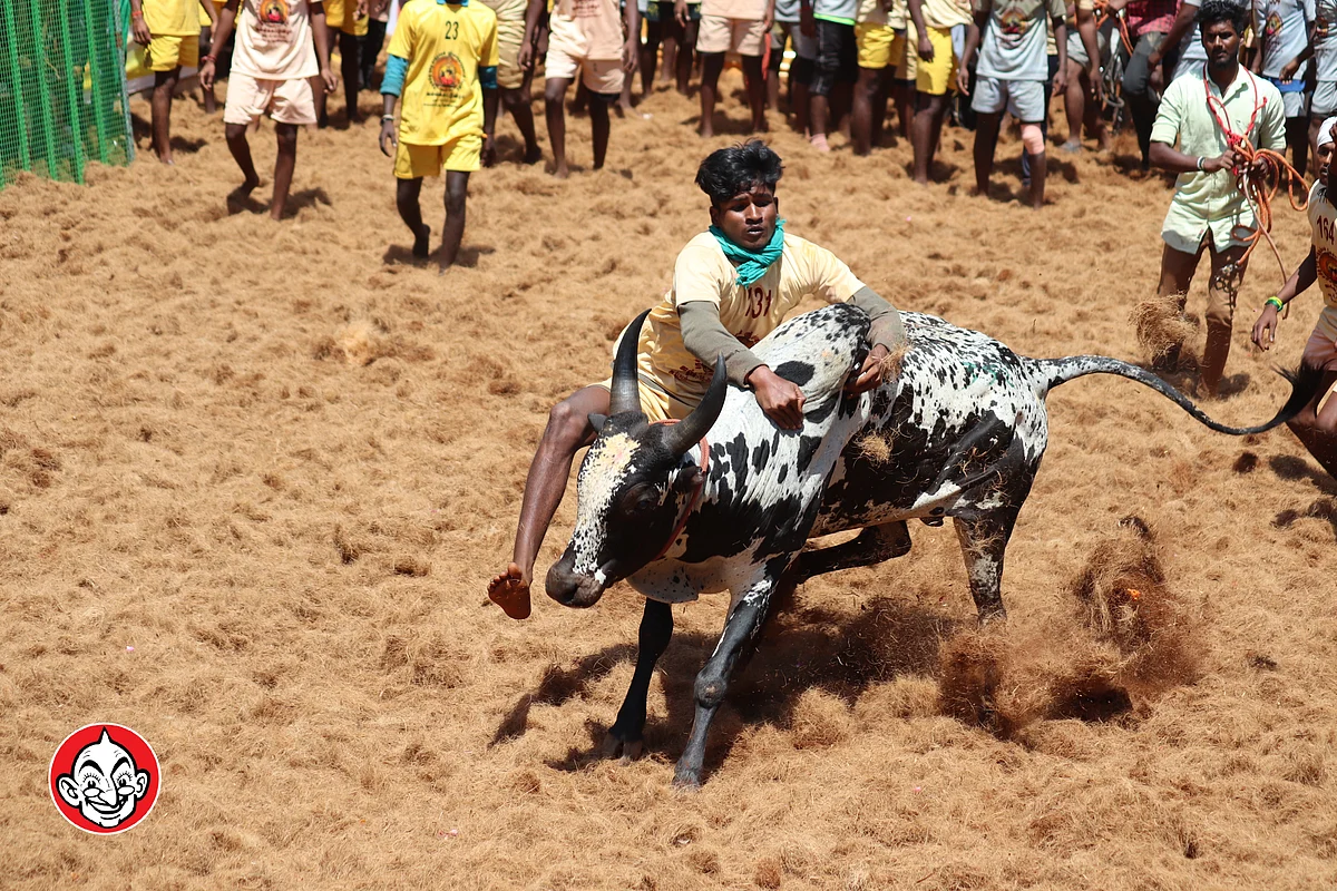 அய்யம்பட்டி ஜல்லிக்கட்டு