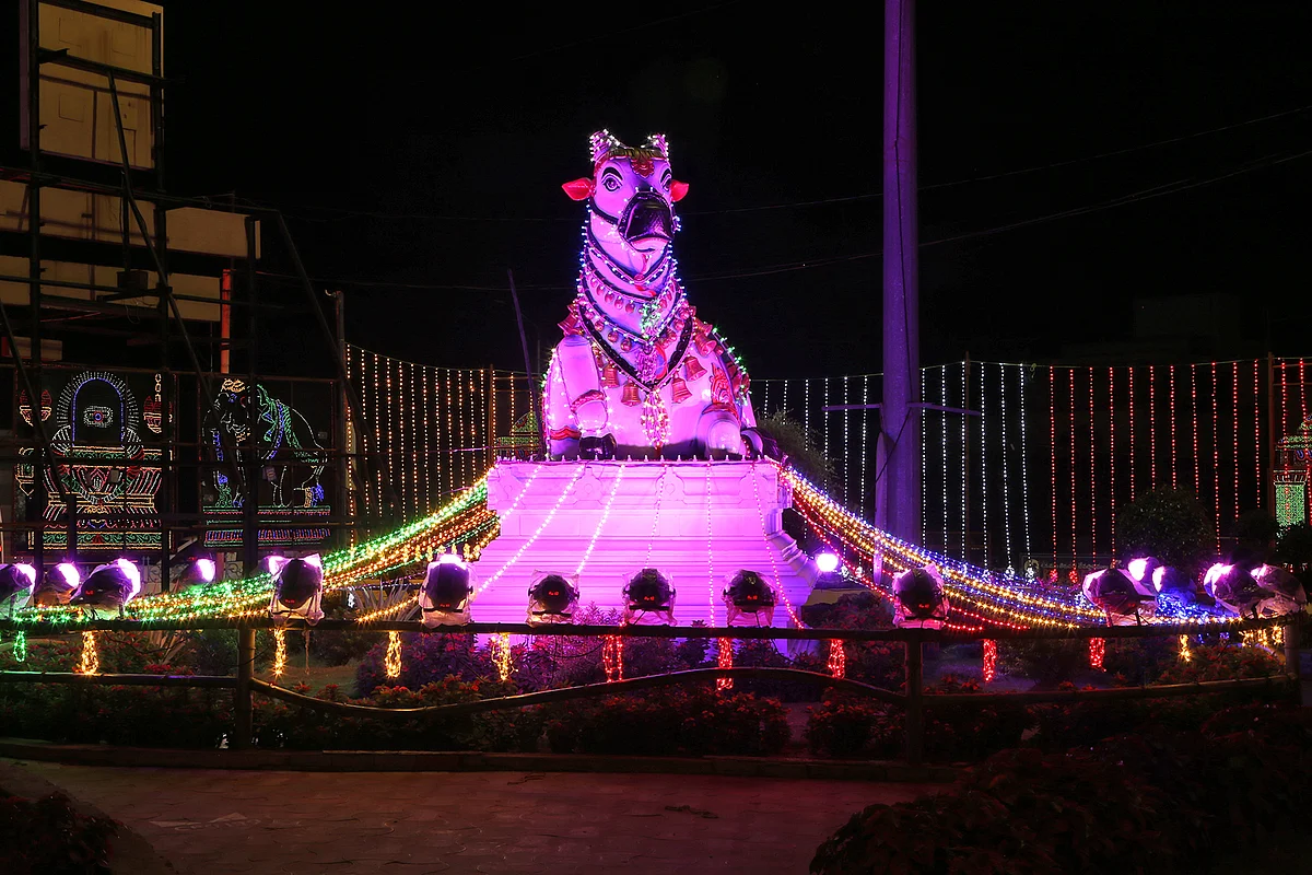 Nandhi Bagavan