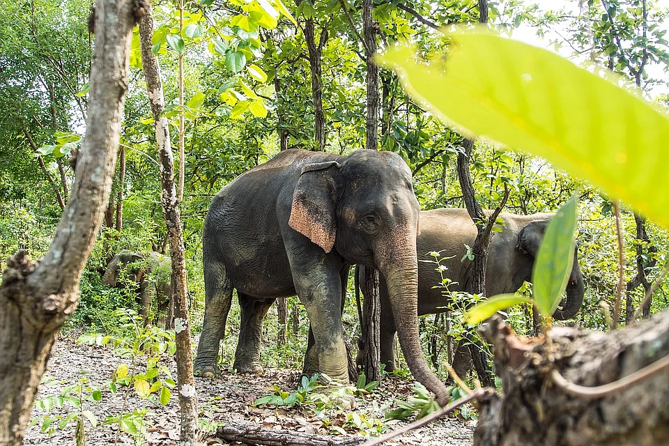 உணவுப் பற்றாக்குறை