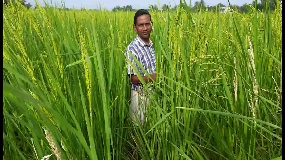 விவசாயி ஸ்ரீதரன்