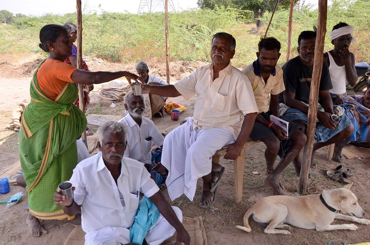 இலவச ஜூஸ்