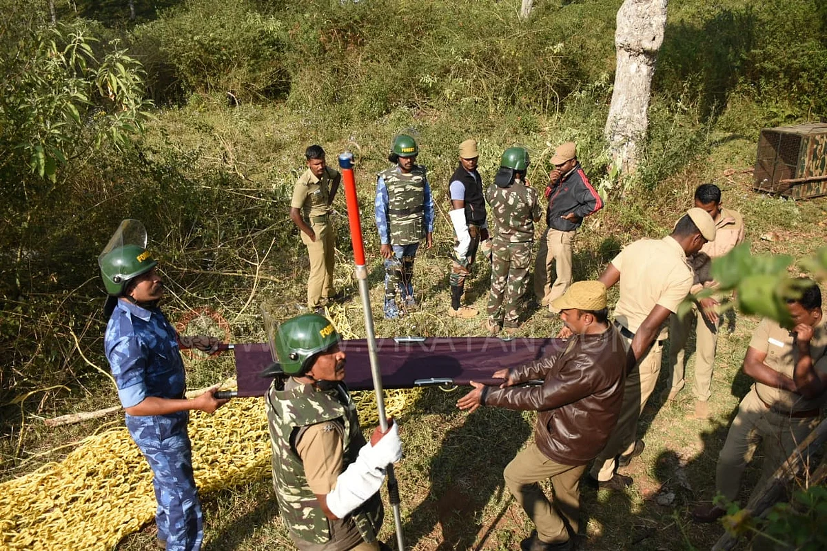 வனத்துறையினர்