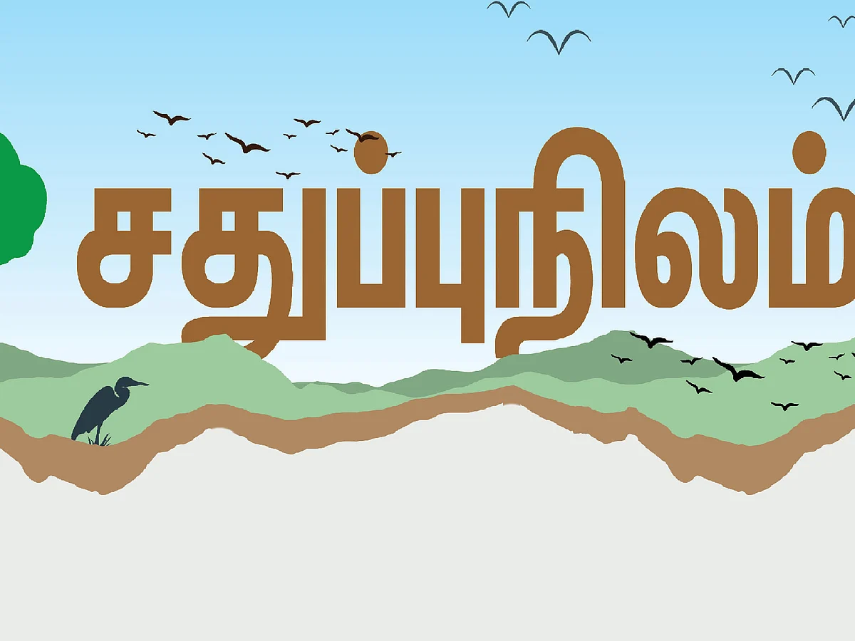 சதுப்பு நிலங்களில்தான் 40 சதவிகித அரியவகை பறவைகள் வாழ்கின்றன #WorldWetlandsDay