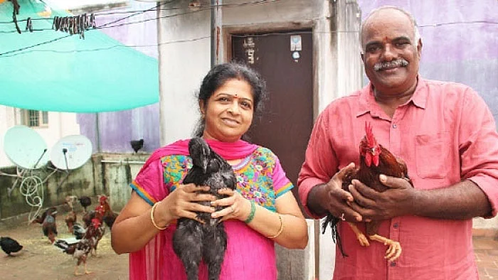 மொட்டைமாடியில் நாட்டுக்கோழி வளர்ப்பு... அனுபவம் பகிரும் சினிமா ஒளிப்பதிவாளர்