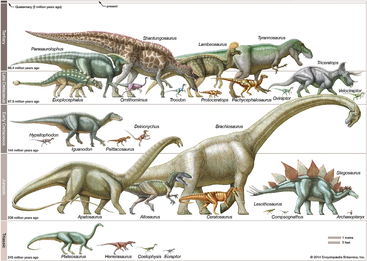 Dinosaur