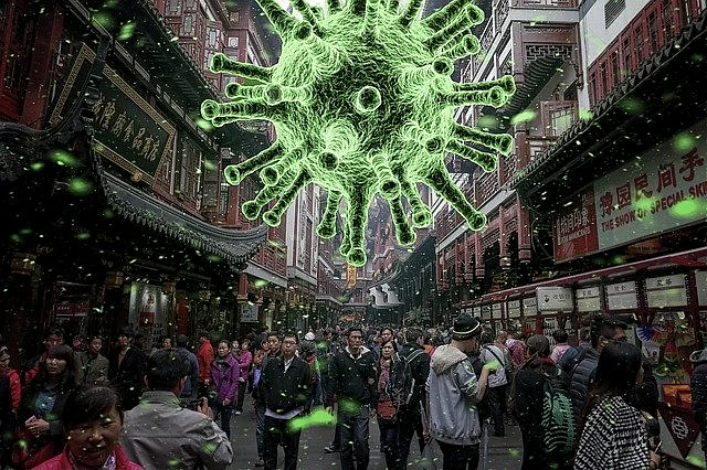 Corona Virus