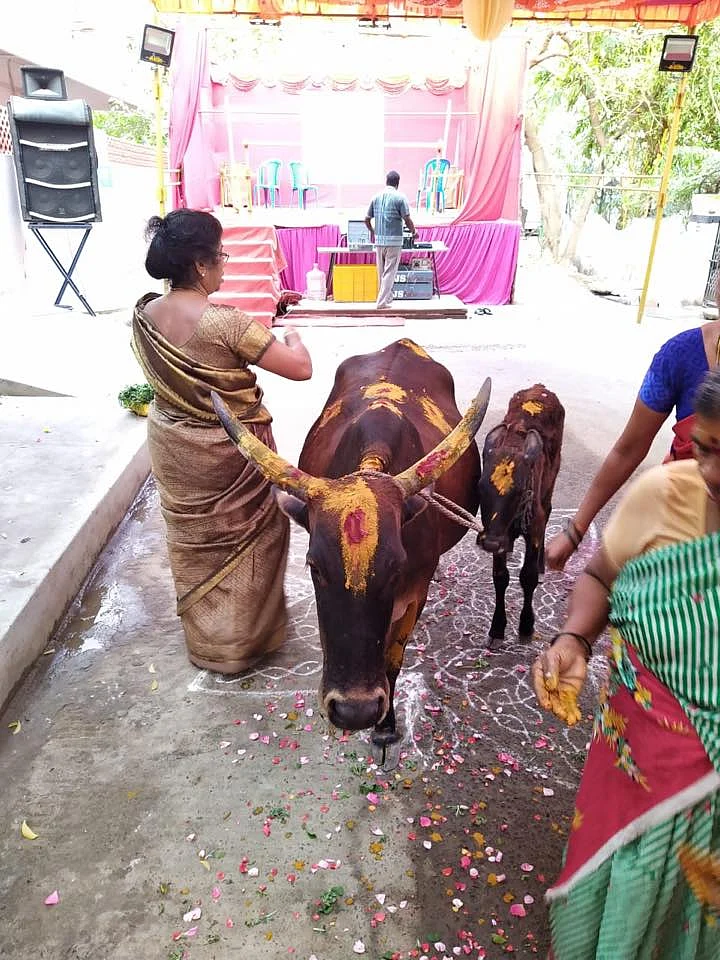 தபோவனம்
