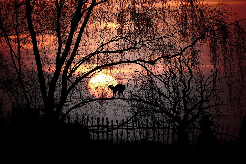 Representational Image