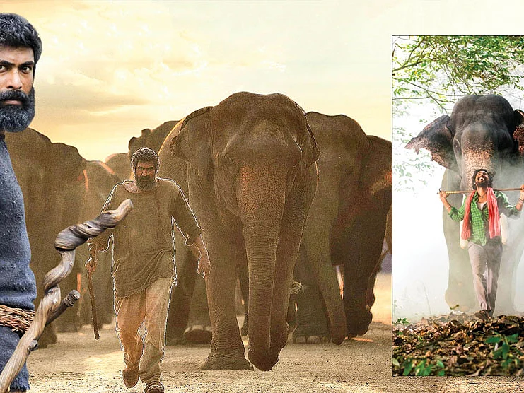 மூன்று மொழிகள்... முப்பது யானைகள்...