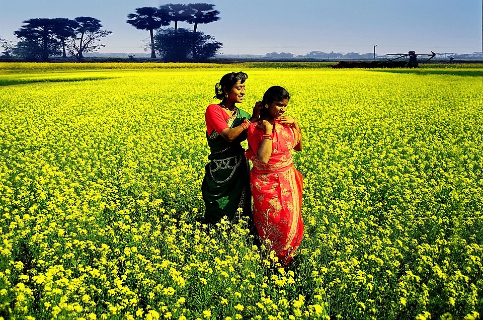 Representational Image