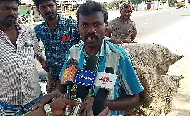 கருவை ராஜா