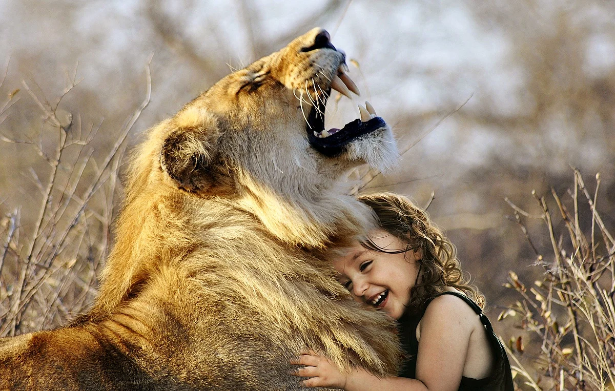 Representational Image