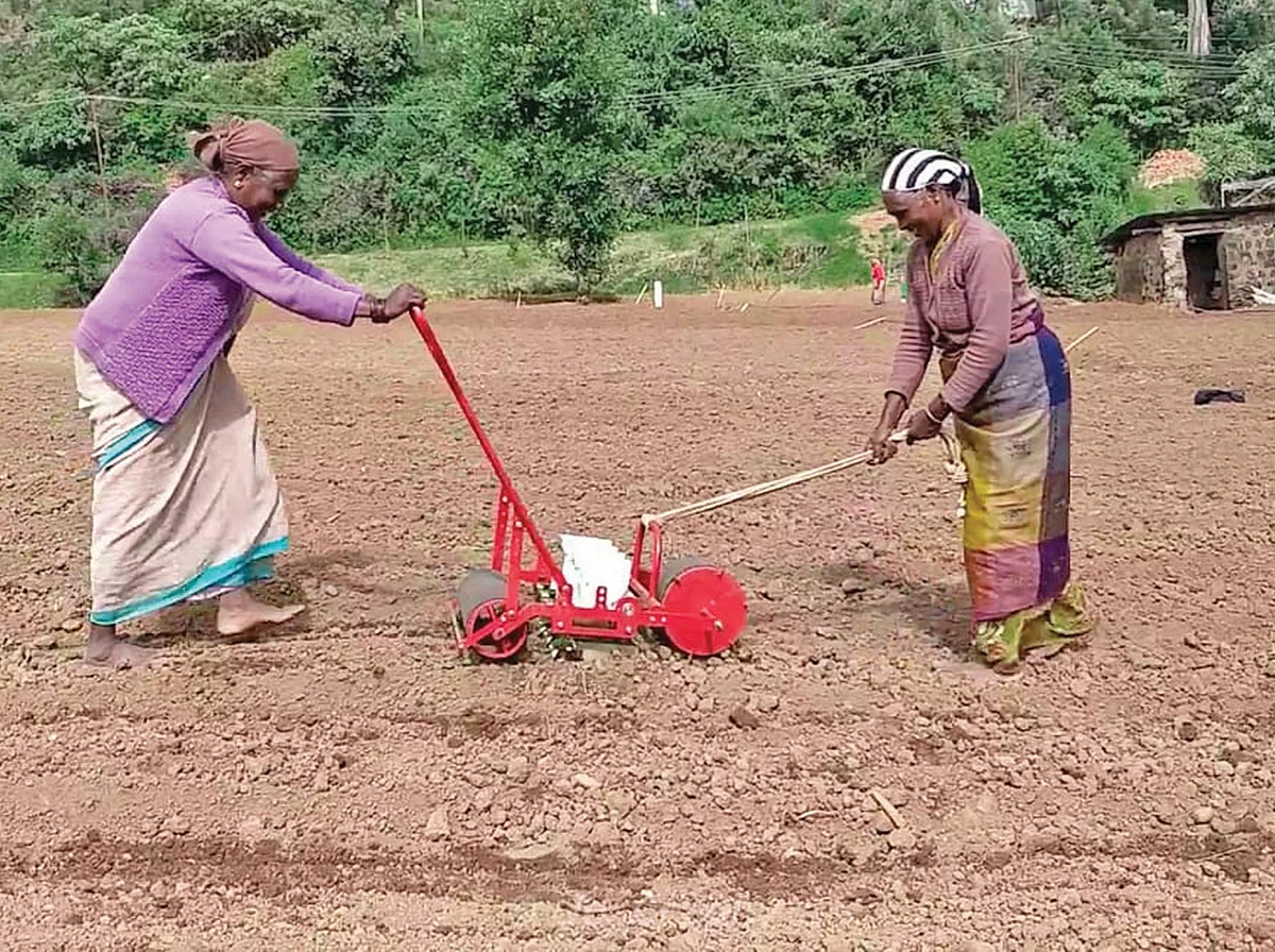 துரிதமாக விதைக்கும் கருவி