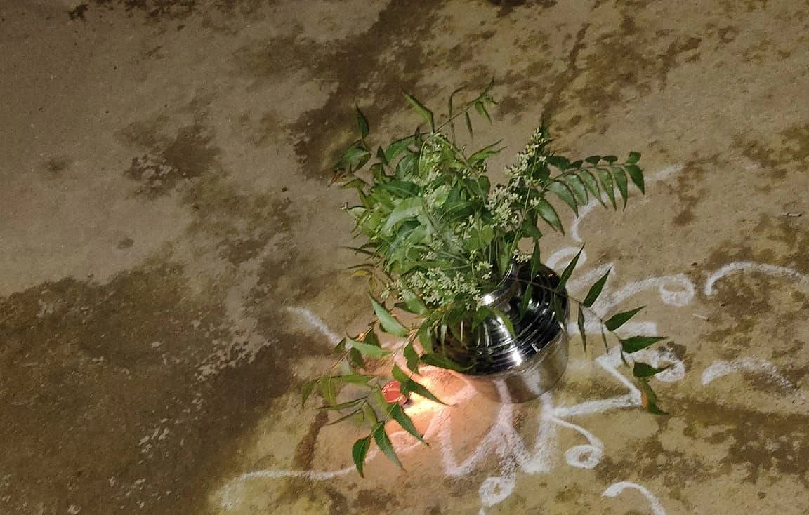மஞ்சள் கரைத்த குடத்தின் மீது வேப்பிலை