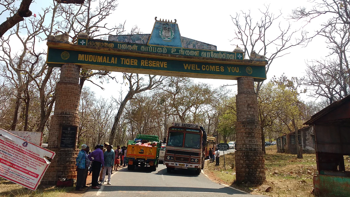 state border