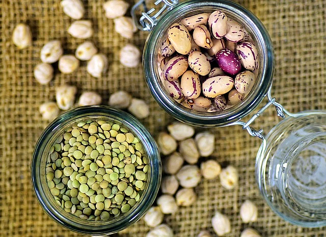 protein rich foods