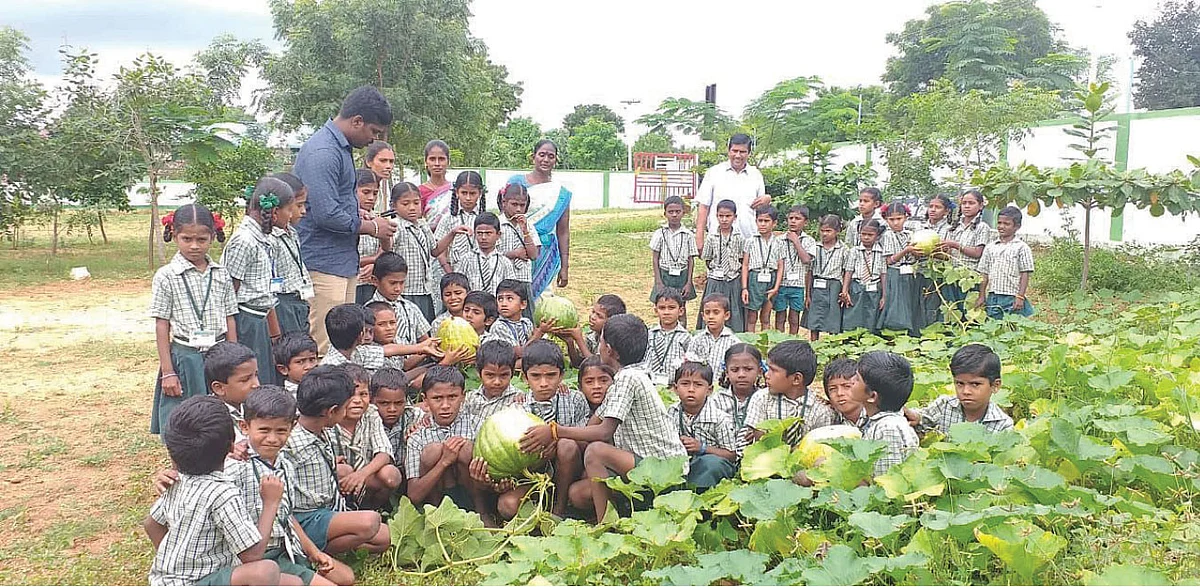 பரங்கிக்காயுடன் மாணவ, மாணவியர்