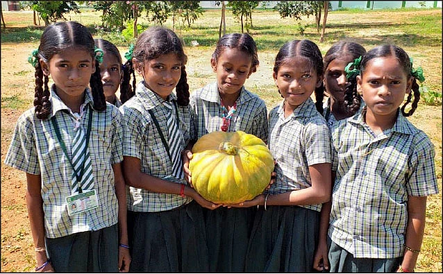 நஞ்சில்லாக் காய்கறியில் மதிய உணவு!