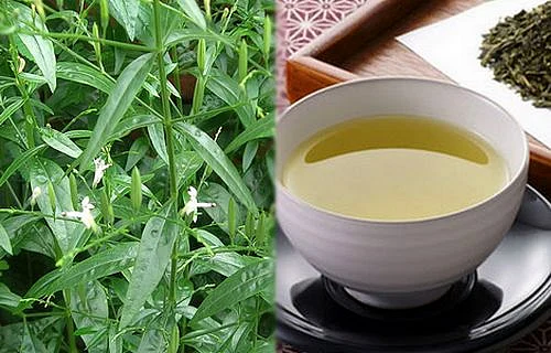 கபசுரக் குடிநீர்