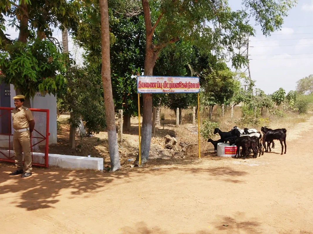 `கால்நடைகளுக்குத் தண்ணீரோடு சேர்த்து உணவு!' -புதுக்கோட்டை தீயணைப்புத்துறையின் அசத்தல் செயல்