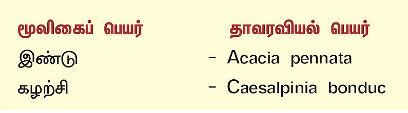 நல்மருந்து 2.0 - இண்டு, கழற்சி! - உயிர் காக்க மருந்தாகும் உயிர்வேலி மூலிகைகள்!