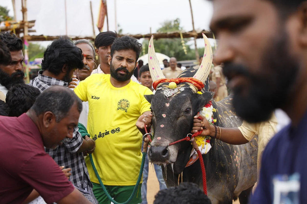 'தேரும் போரும்'