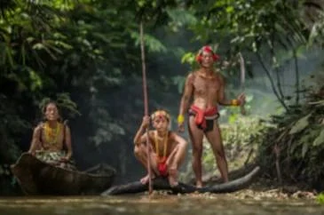 பழங்குடிகள்