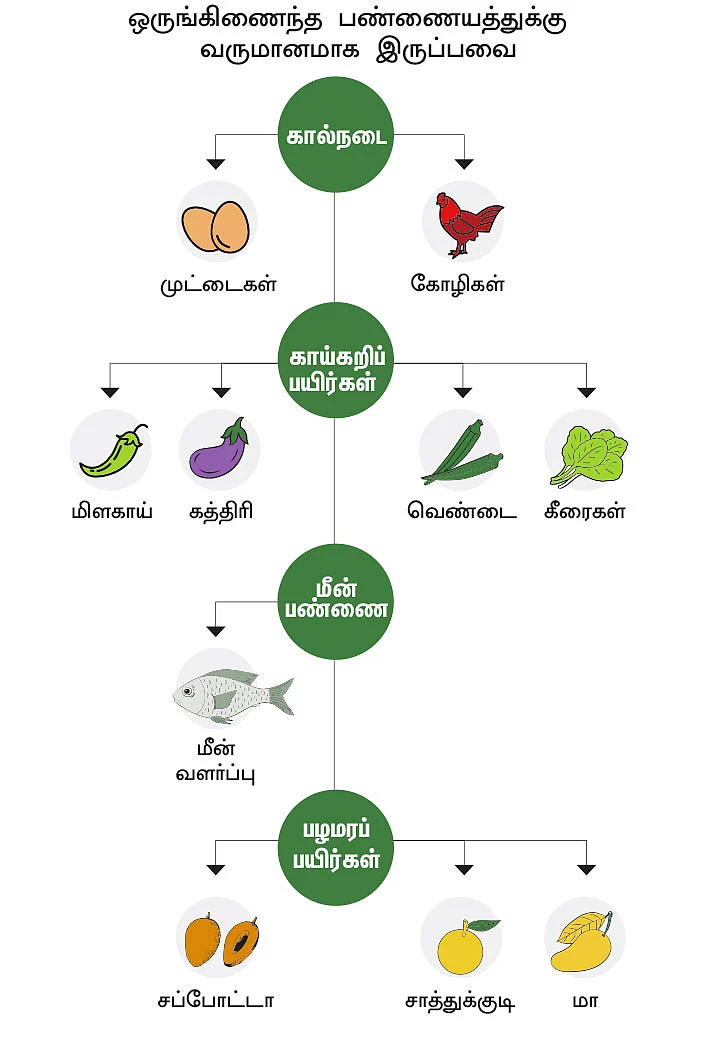 4.5 ஏக்கர்... ஆண்டுக்கு ரூ. 8,56,250 - ஒப்பற்ற லாபம் கொடுக்கும் ஒருங்கிணைந்த பண்ணை!