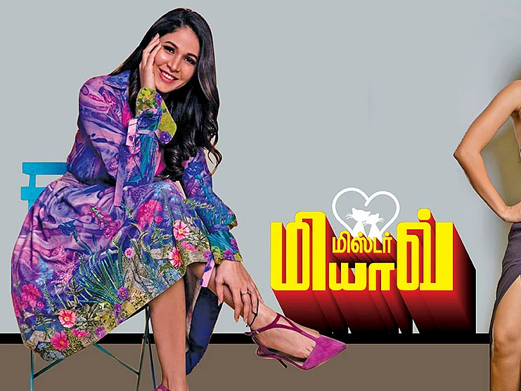 மிஸ்டர் மியாவ்