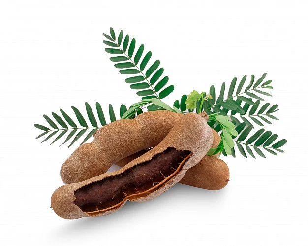 புளி