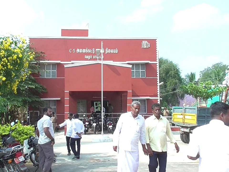 `ஆபாசமாகப் பேசி கொலை மிரட்டல் விடுக்கிறார்!’ -மின்வாரிய அதிகாரியால் பெண் ஊழியருக்கு நேர்ந்த கொடுமை