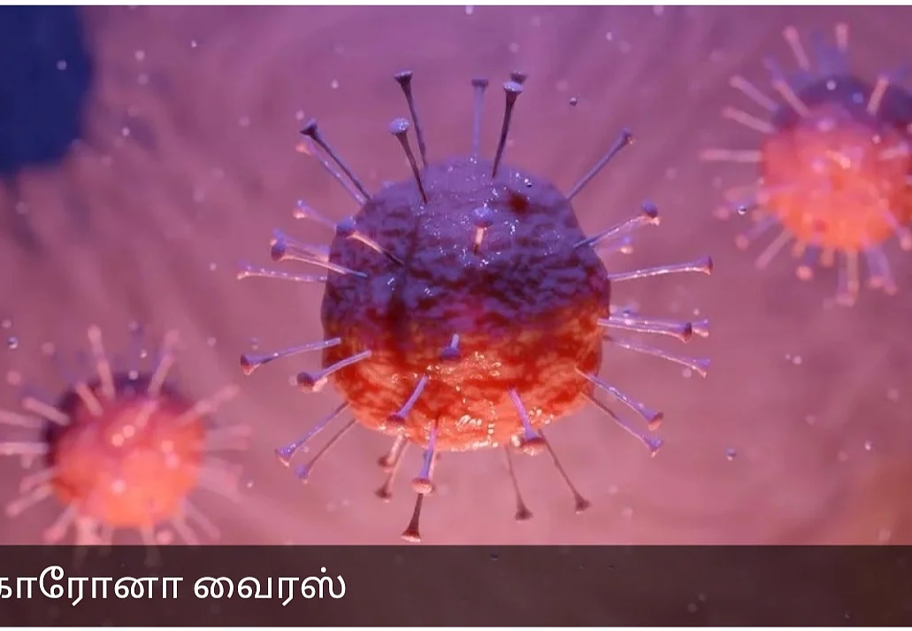 கொரோனா வைரஸ்