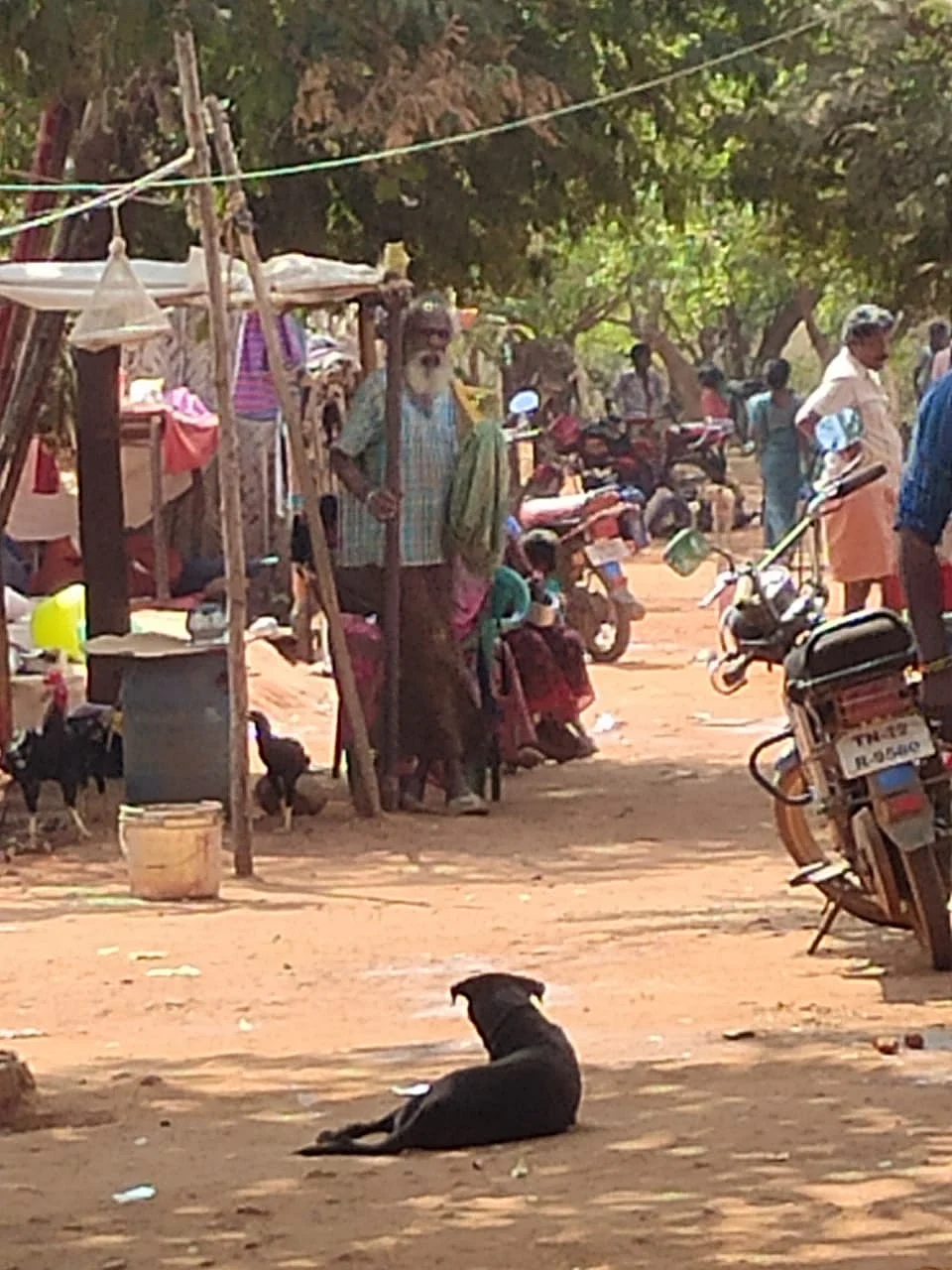 மோரைப் பஞ்சாயத்து வினோநகர்