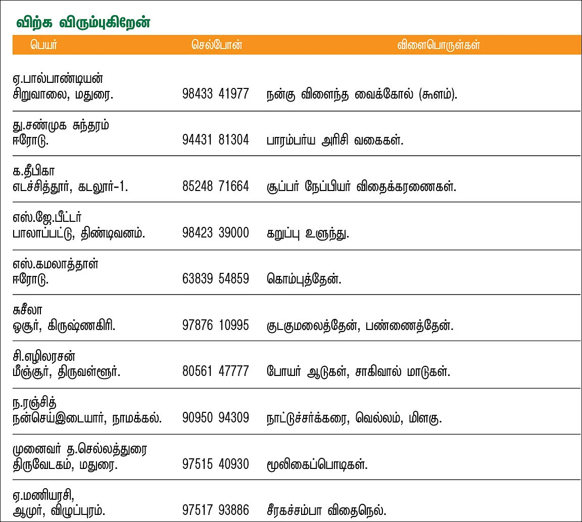 பசுமை சந்தை