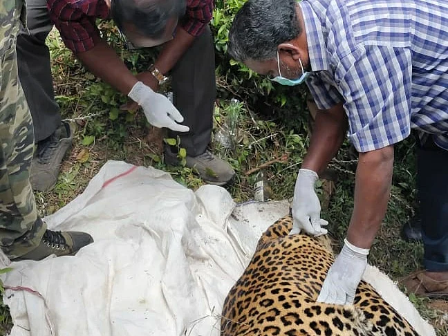 leoprd death