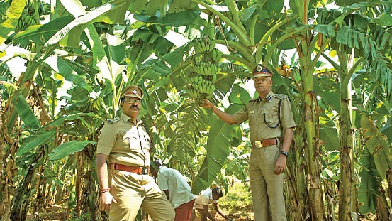சங்கர், சண்முகசுந்தரம்