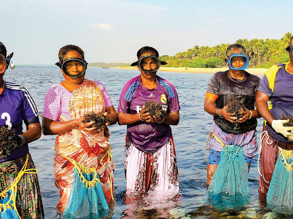 தென்கடலின் சூப்பர் வுமன்கள்!